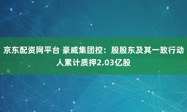 京东配资网平台 豪威集团控：股股东及其一致行动人累计质押2.03亿股