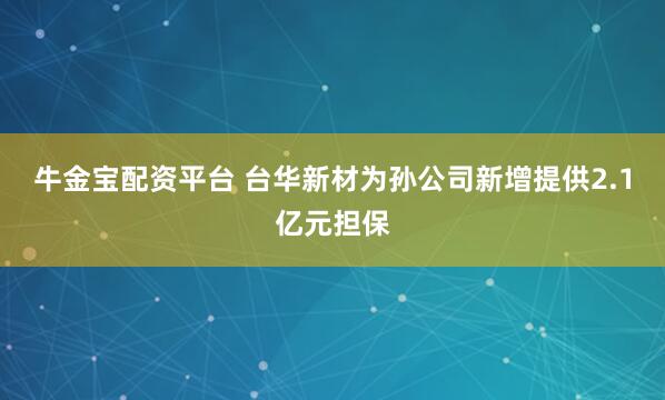 牛金宝配资平台 台华新材为孙公司新增提供2.1亿元担保