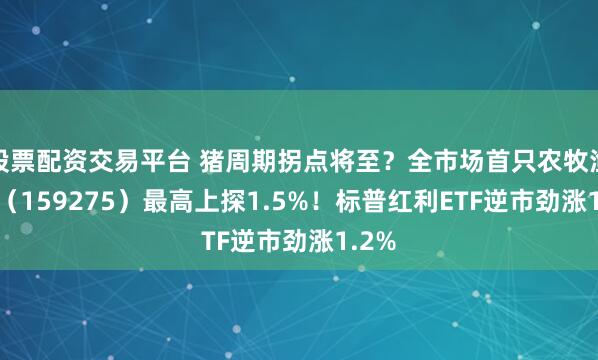 股票配资交易平台 猪周期拐点将至？全市场首只农牧渔ETF（159275）最高上探1.5%！标普红利ETF逆市劲涨1.2%